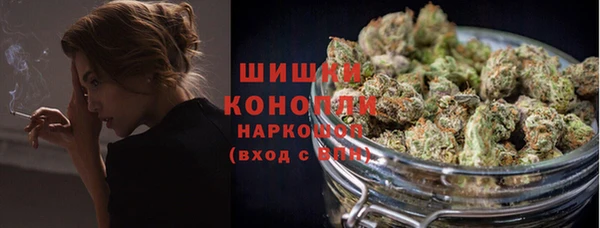 PSILOCYBIN Навашино
