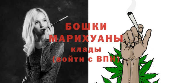 PSILOCYBIN Навашино