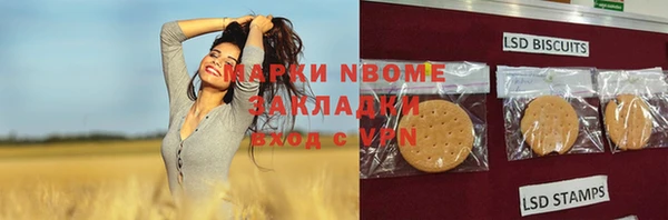 PSILOCYBIN Навашино