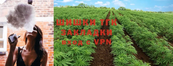 PSILOCYBIN Навашино