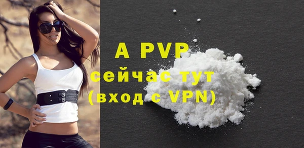 PSILOCYBIN Навашино