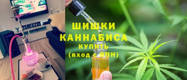 PSILOCYBIN Навашино