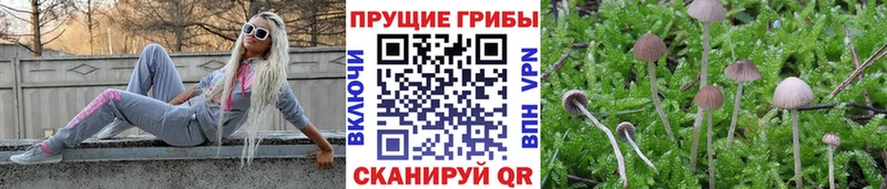 Галлюциногенные грибы мицелий  Купить где  Лермонтов 
